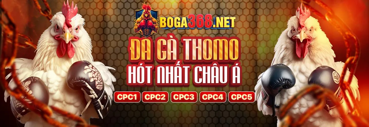 Đá Gà Trực Tiếp 388 Kịch Tính